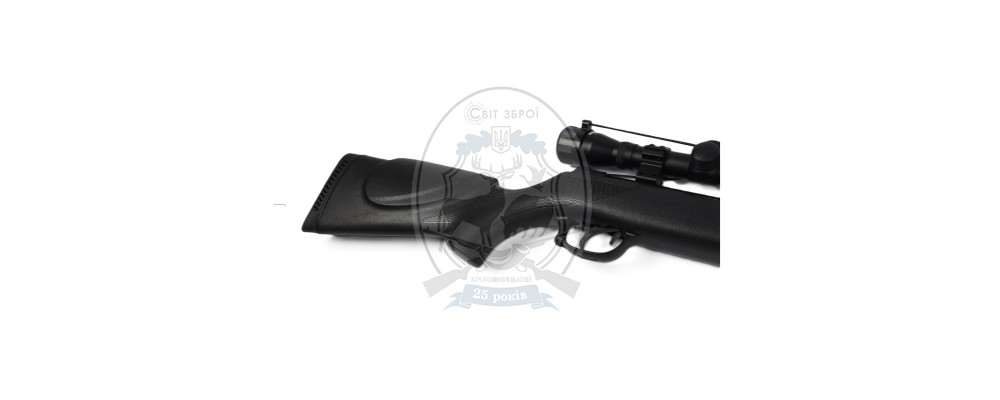 Гвинтівка пневматична Borner Air Rifle N 01 S + оптичний приціл