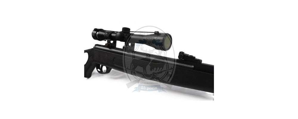 Гвинтівка пневматична Borner Air Rifle N 03 + Riflescope 4*32
