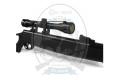 Гвинтівка пневматична Borner Air Rifle N 03 + Riflescope 4*32