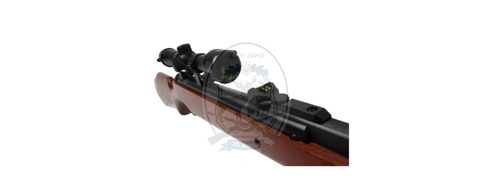 Гвинтівка пневматична Borner Air Rifle XS25 + RIFLESCOPE 4*32