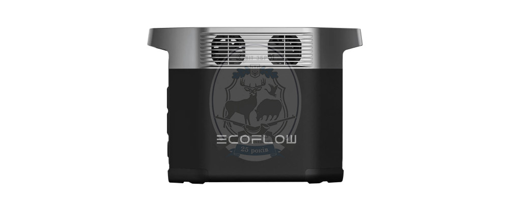 Зарядна станція EcoFlow DELTA 2 